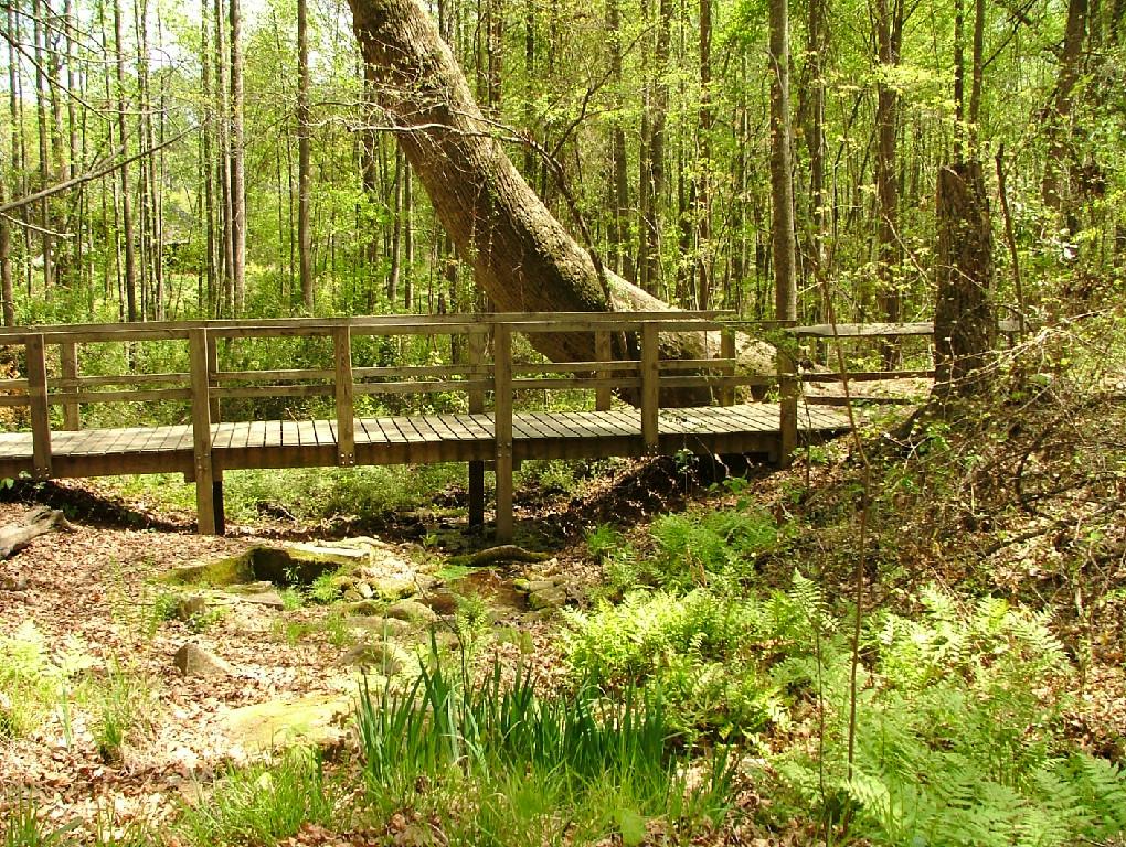 reynolds-trail Reynolds Nature Preserve Bridge on trail
