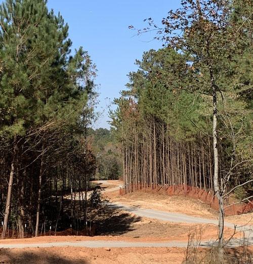 River’s Edge Phase II