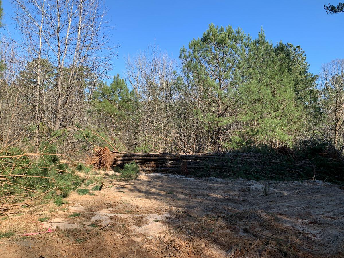 Lake Spivey Trail System Construction March 2025