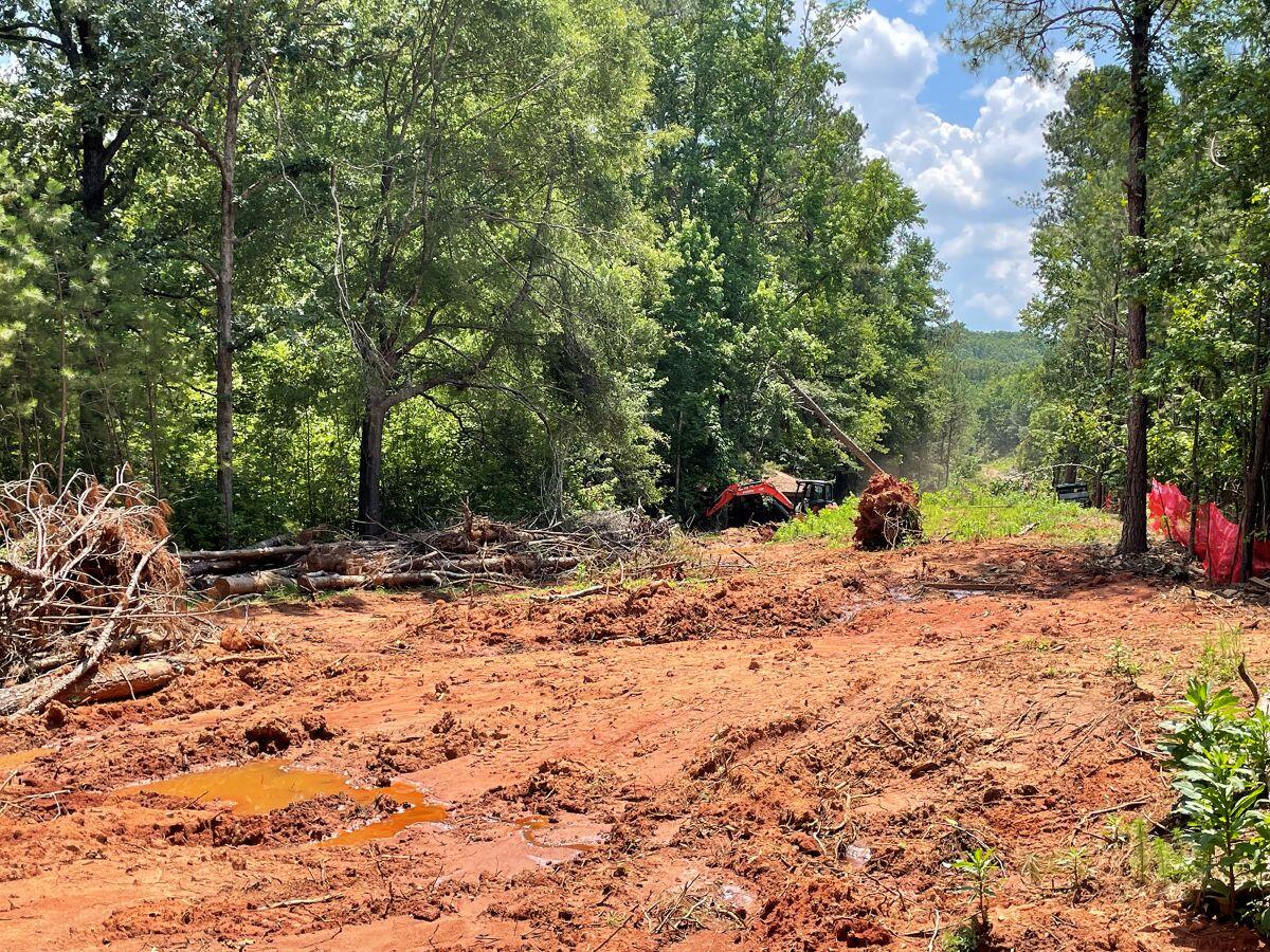 River's Edge Walking Trail Phase III Tree removal