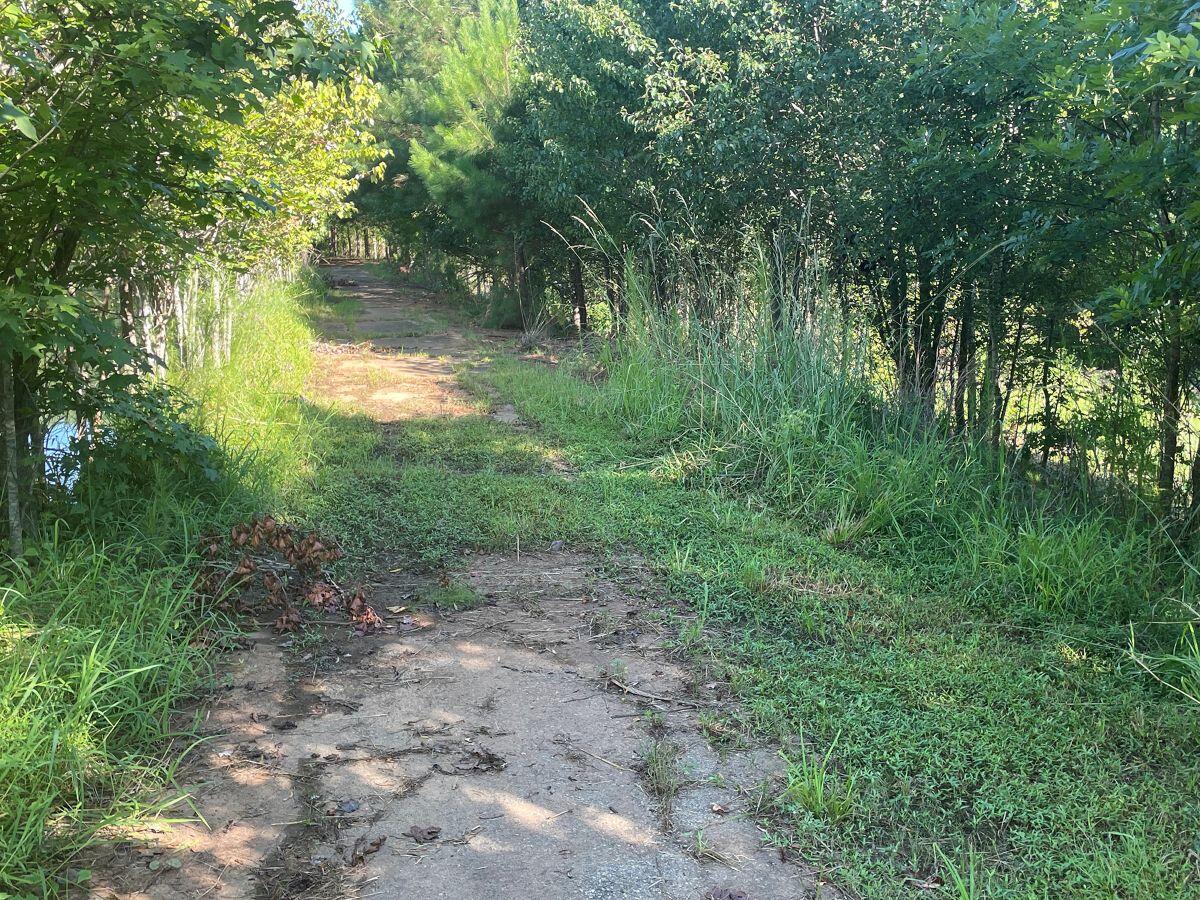 River’s Edge Walking Trail Phase IV overgrown walkway