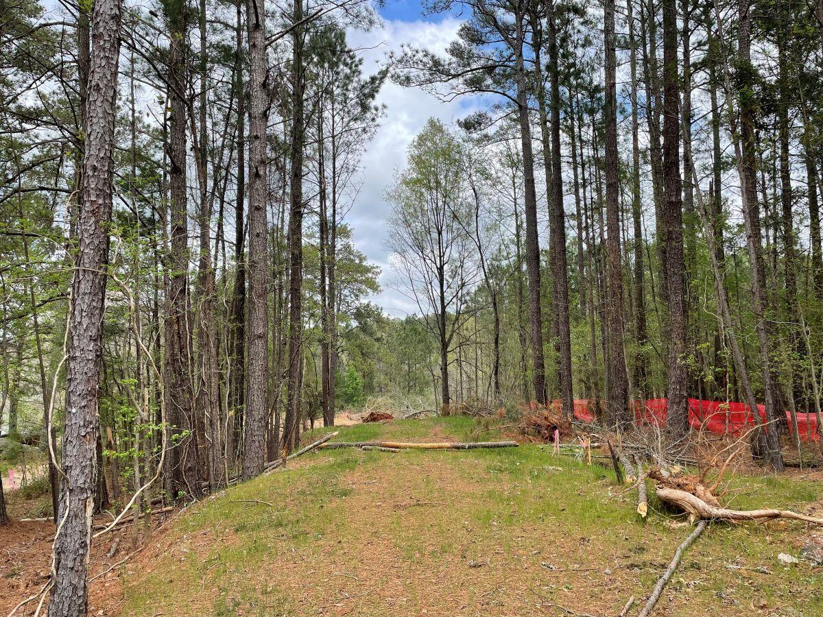 River's Edge Phase 3 construction long pathway surrounded by trees