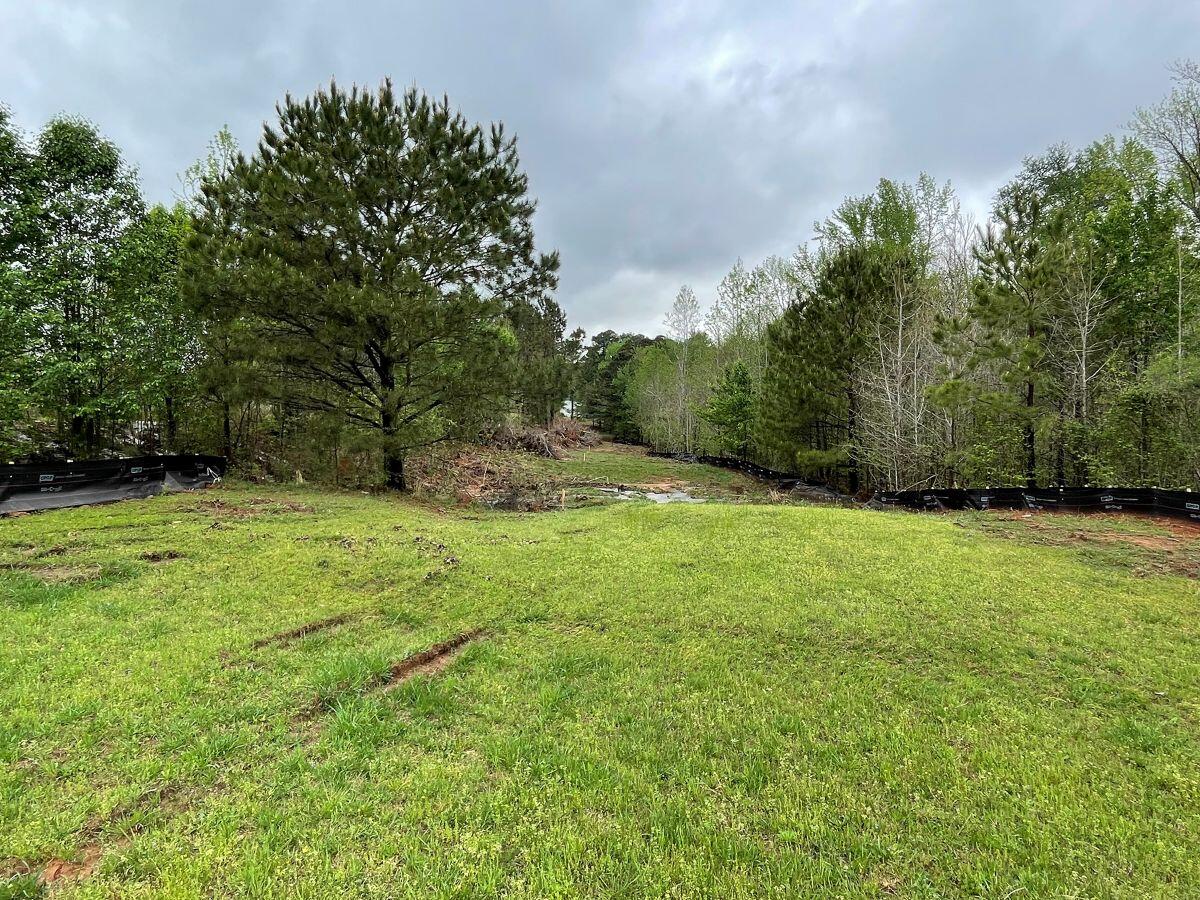 River's Edge 4 open grass with trees in the distance