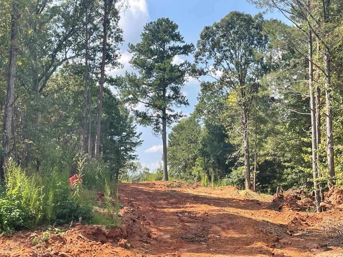 River's Edge Phase III pathway with tree in the middle