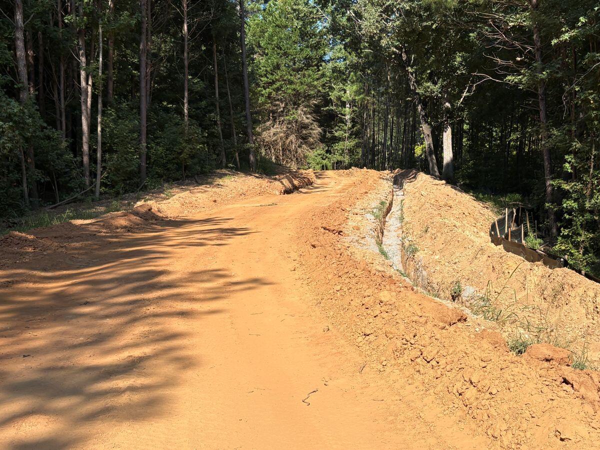 Rivers Edge dirt path into trees