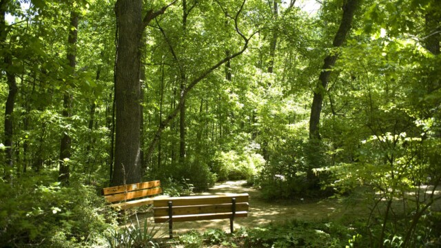 benches at Reynold's Nature Preserve