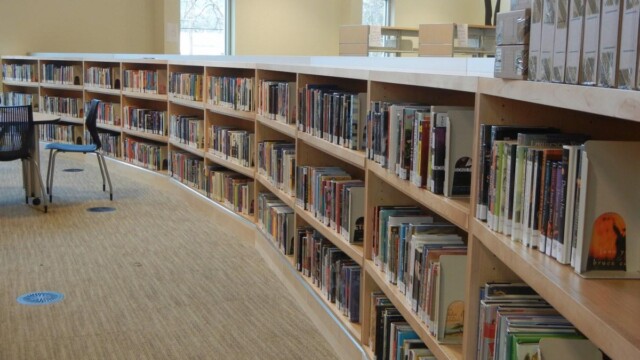 long shelf of books