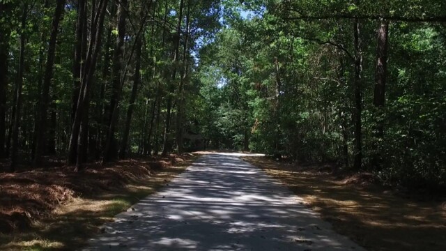 Lake Spivey Trail System - Tall Trees Surround Paved Trail Way