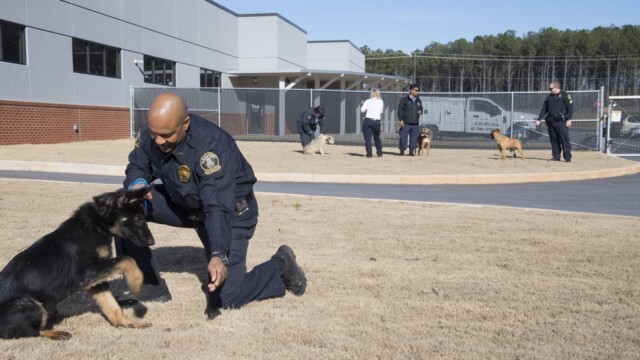 Leashed dogs with their police officers on the grass outside of an Animal Center