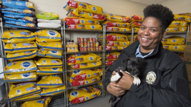 Animal Control officer holding a dog in a store room of dog food