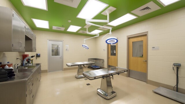 Empty operating room at the Animal Center