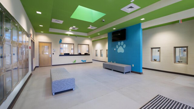 Animal Center empty lobby with cushioned seating and animals behind glass windows