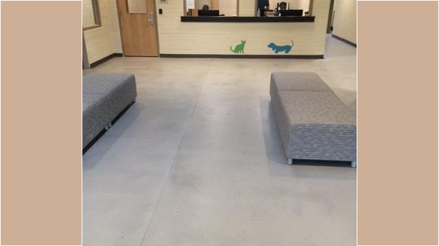 Animal Center lobby past the entrance