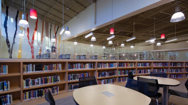 shelves of books