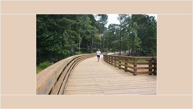 Lake Spivey Trail System - Jogger On Trail On The Boardwalk