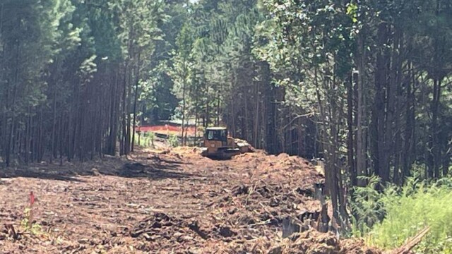 wide view of bulldozer in woods