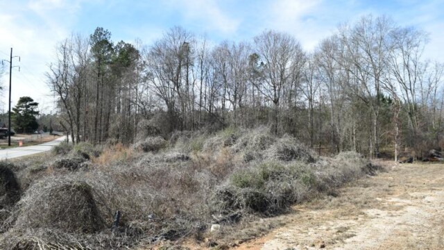 Administration Building plot of land, another angle