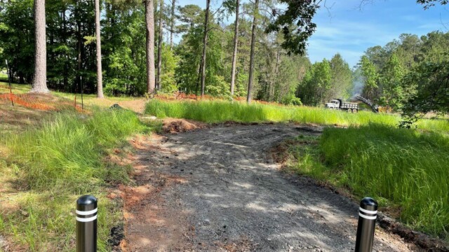 view of path going towards the treeline