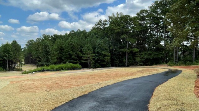 View of path going into trees