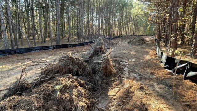view from giant pile of sticks and dirt in middle of newly formed path