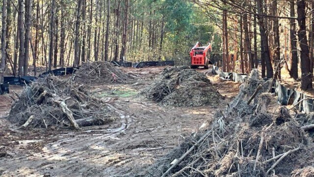 piles of sticks and dirt