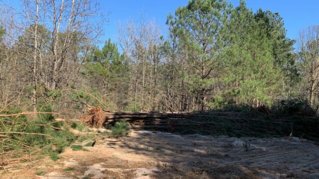 Lake Spivey Trail System - Construction March 2025