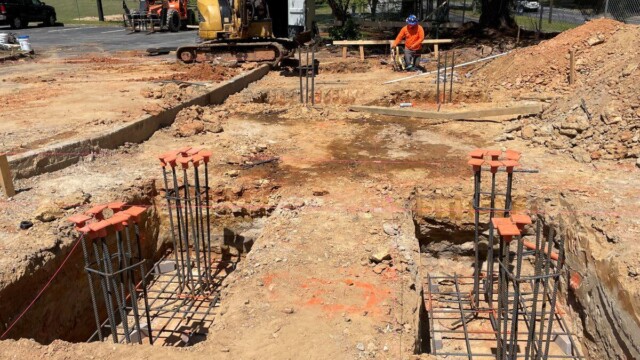 Shelnutt Senior Center Updates Steel trees
