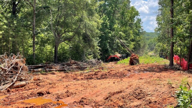 River's Edge Walking Trail Phase III Tree removal