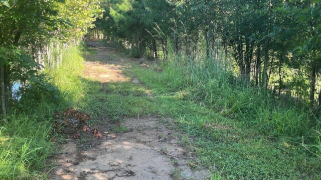 River’s Edge Walking Trail Phase IV overgrown walkway