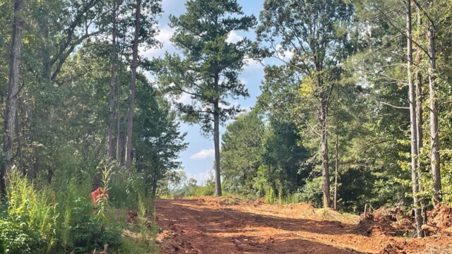 River's Edge Phase III pathway with tree in the middle