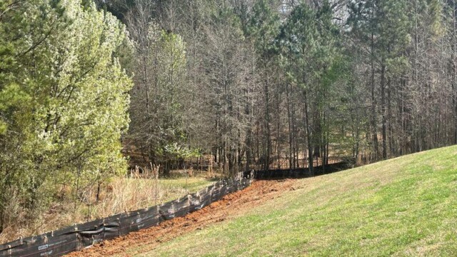 Rivers edge III tree line